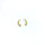 SoleJoyas Arete Trepador enchapado en Oro 18k